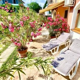 Unio Vendégház 3. Siófok - Egyéb