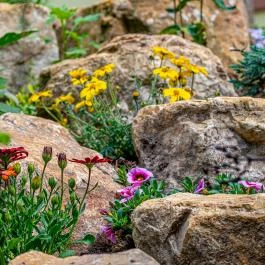 SunGarden Wellness Hotel Siófok - Medence/kert