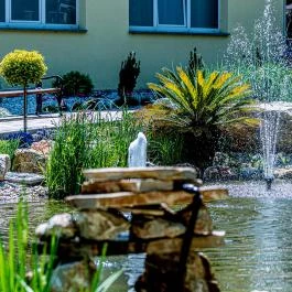 SunGarden Wellness Hotel Siófok - Medence/kert