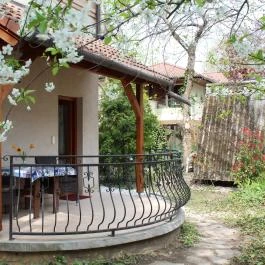 Vicze Apartman Siófok - Egyéb