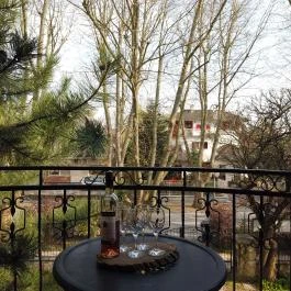 Vicze Apartman Siófok - Egyéb