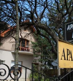 Vicze Apartman