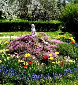 Borókás Vendégház