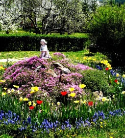 Borókás Vendégház