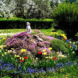 Borókás Vendégház Sirok - Egyéb