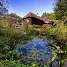 Halháza Vendégház Sirok - Medence/kert