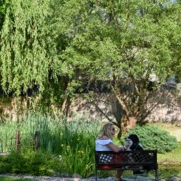 Halháza Vendégház Sirok - Medence/kert