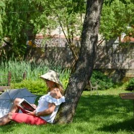 Halháza Vendégház Sirok - Medence/kert