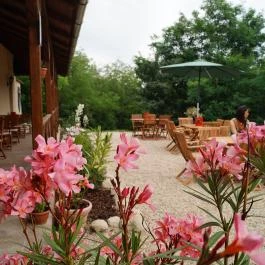 Sirocave Barlang Apartmanok Sirok - Egyéb