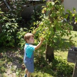 Tóbik Vendégház Sirok - Egyéb