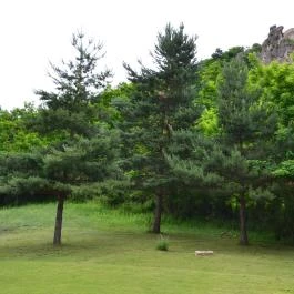 Vár Camping Sirok - Medence/kert