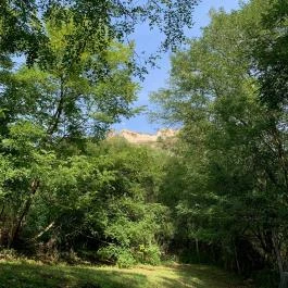 Vár Camping Sirok - Medence/kert