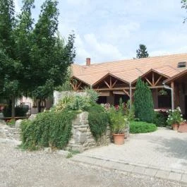 Borostyánkert Vendéglő Sitke - Egyéb