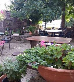 Borostyánkert Vendéglő