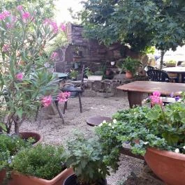 Borostyánkert Vendéglő Sitke - Egyéb