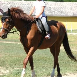 Sokoró Fogadó Sokorópátka - 