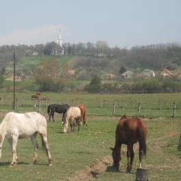 Sokoró Fogadó Sokorópátka - Külső kép