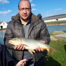 Sokoró Fogadó Sokorópátka - 