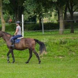 Sokoró Fogadó Sokorópátka - Egyéb
