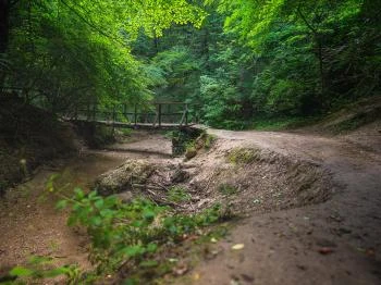 Jegenye-völgy Solymár