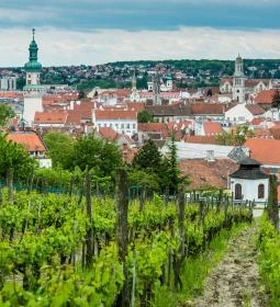 Idegenvezetés Sopron történelmi belvárosában
