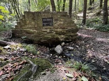 Béla forrás Sopron