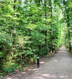 146. legjobb látnivaló: Lővérek