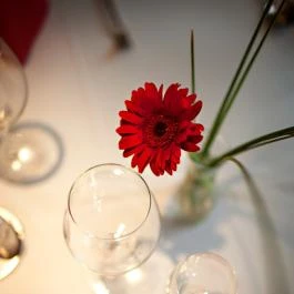 Vadvirág Hotel Sopron - Vendéglátás