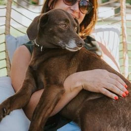 Wabi Hotel Sopron - Medence/kert