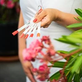 Wabi Hotel Sopron - Wellness