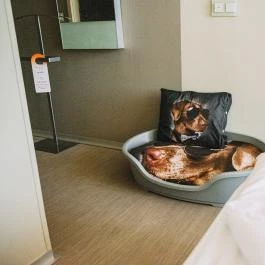 Wabi Hotel Sopron - Szobák