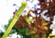 Szabolcs Vezér Panzió Szabolcs Szabolcs Vezér Panzió Szabolcs