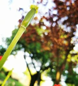 Szabolcs Vezér Panzió