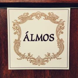 Szabolcs Vezér Panzió Szabolcs - Külső kép