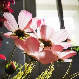 Szabolcs Vezér Panzió Szabolcs - Belső