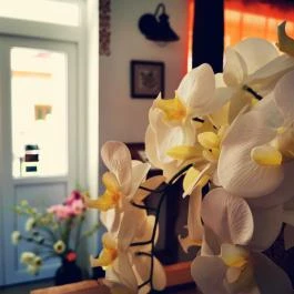 Szabolcs Vezér Panzió Szabolcs - Belső