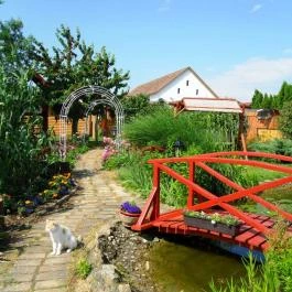 Rózsakert Apartman Szakony - Medence/kert