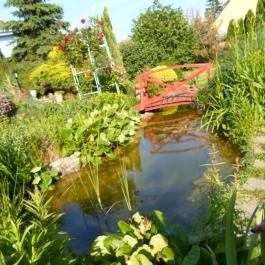 Rózsakert Apartman Szakony - Medence/kert