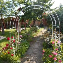 Rózsakert Apartman Szakony - Medence/kert