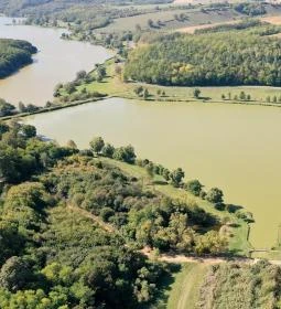 Páfrány Vendégház