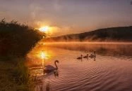 Trófea Étterem és Szállás Szálka