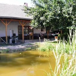 Élni jó Vendégház Szár - Medence/kert