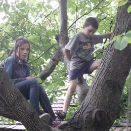 Élni jó Vendégház Szár - Szórakozás/Sport