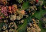 Szarvas - Szarvasi Arborétum