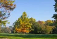 Szarvasi Arborétum Szarvas Szarvasi Arborétum Szarvas