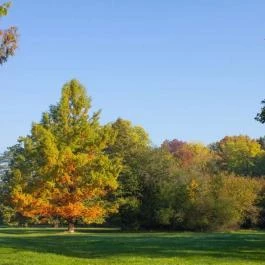 Szarvasi Arborétum Szarvas - Egyéb