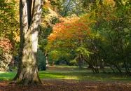 Szarvasi Arborétum Szarvas Szarvasi Arborétum Szarvas