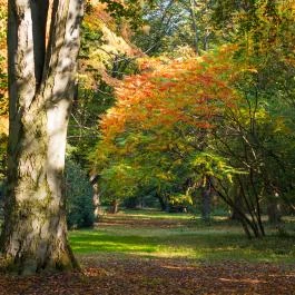 Szarvasi Arborétum Szarvas - Egyéb