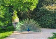 Szarvasi Arborétum Szarvas Szarvasi Arborétum Szarvas