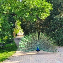 Szarvasi Arborétum Szarvas - Egyéb